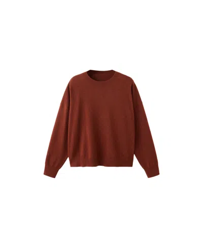 Mango Women's Oversized Long-sleeve Sweater In Brown