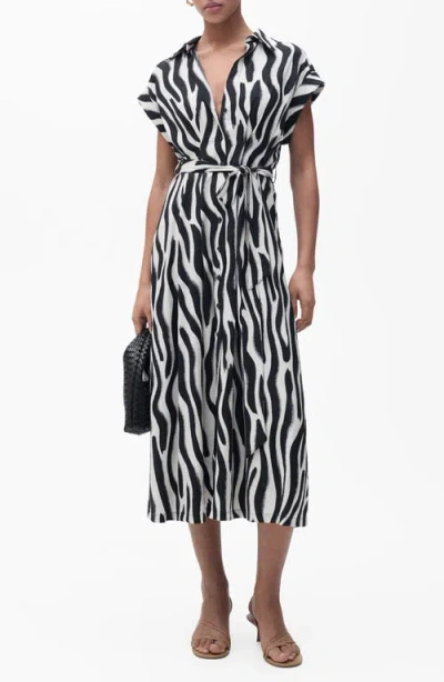 Mango Zebra Print Belted Midi Shirtdress In Black