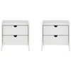 Manhattan Comfort Coney Mid-century Modern 2-drawer Nightstand
