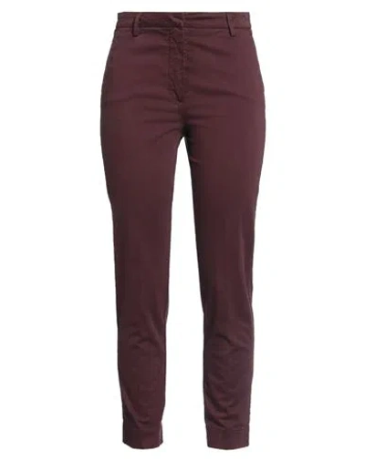 Manila Grace Woman Pants Burgundy Size 2 Cotton, Elastane In Red