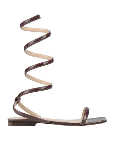Manila Grace Woman Sandals Dark Brown Size 8 Leather