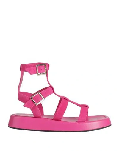 Manila Grace Woman Sandals Fuchsia Size 8 Leather In Pink