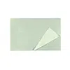 Manito Green The Twenty Two Silk Flat Sheet - Sage In Green