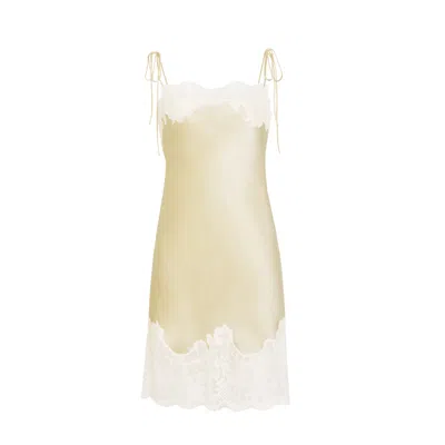 Manito Women's Yellow / Orange Windy Silk Lace Short Dress - Bellflower Yellow In Yellow/orange