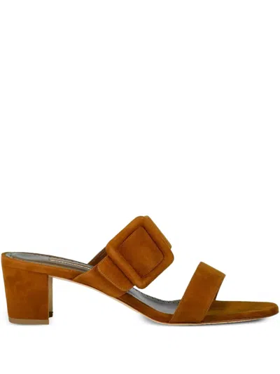 Manolo Blahnik Titubanew 50 Buckled Suede Sandals In Brown