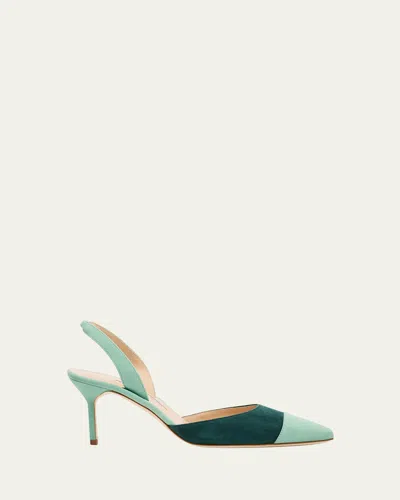 Manolo Blahnik 70mm Capsli Bicolor Suede Pumps In Multi