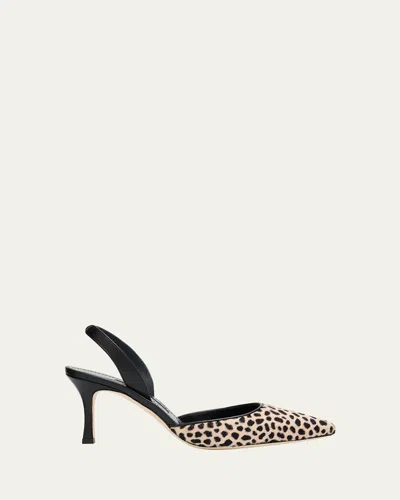 Manolo Blahnik 70mm Carolyne Calf Hair Slingback Pumps In Animal Print