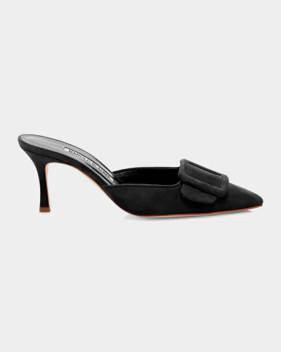 Manolo Blahnik 70mm Maysale Suede Buckle Mules In Black