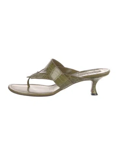 Pre-owned Manolo Blahnik Alligator Slides In Green