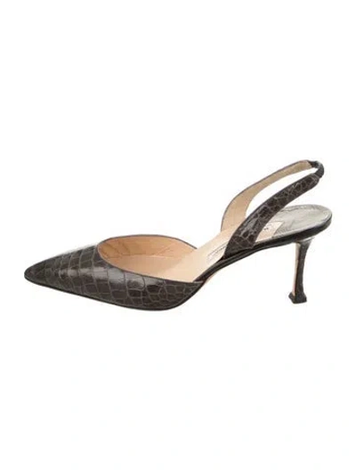 Pre-owned Manolo Blahnik Alligator Slingback Pumps In Brown