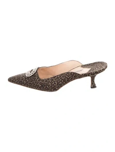 Pre-owned Manolo Blahnik Animal Print Crystal Embellishments Mules In Brown
