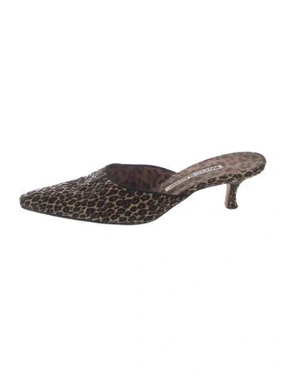 Pre-owned Manolo Blahnik Animal Print Mules In Multi
