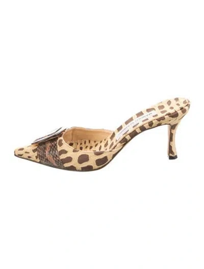 Pre-owned Manolo Blahnik Animal Print Mules In Neutral