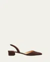 Manolo Blahnik Aspro Suede Slingback Ballerina Pumps In Dark Brown