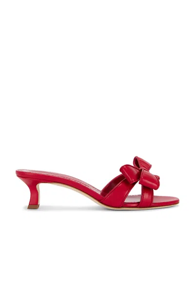 Manolo Blahnik Cafredda 50 Mule In Red