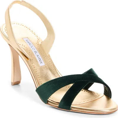 Manolo Blahnik Callydra Slingback Sandal In Purple