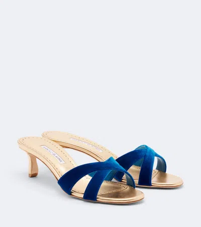 Manolo Blahnik Callydramu Velvet Mules In Blue