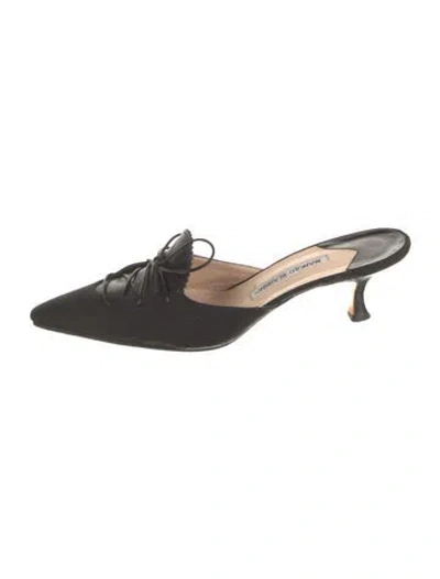 Pre-owned Manolo Blahnik Canvas Mules In Black