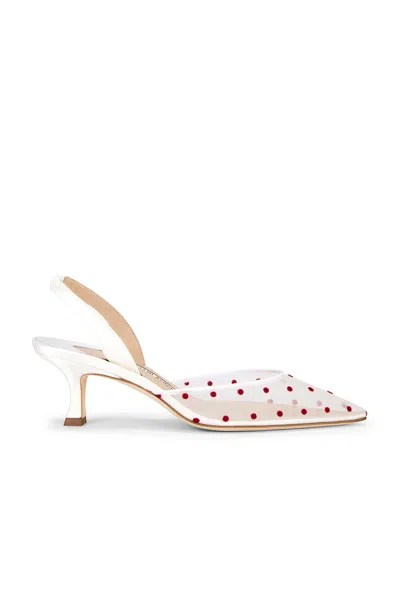 Manolo Blahnik Carolyne 50 Pump In Multi