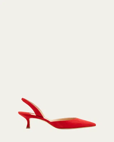 Manolo Blahnik Carolyne Kitten-heel Halter Pumps In Red
