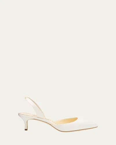 Manolo Blahnik Carolyne Kitten-heel Halter Pumps In Multi