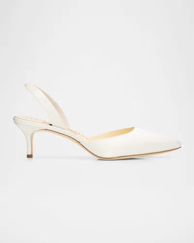 Manolo Blahnik Carolyne Bride Pointed-toe Slingback Pumps In Neutral