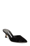 Manolo Blahnik Carolyne Mule In Black