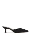 Manolo Blahnik Carolynemu 50 Mule In Black