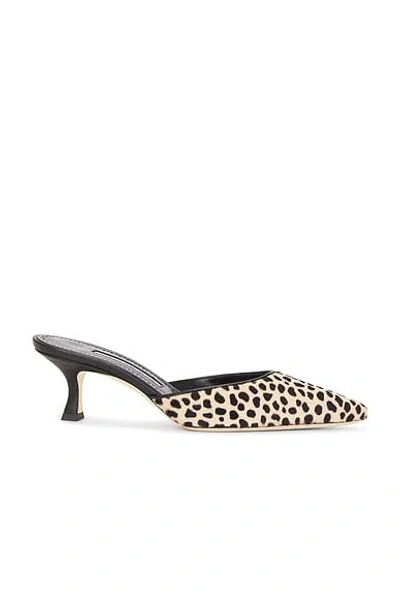 Manolo Blahnik Carolynemu 50 Pump In Animal Print