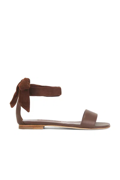 MANOLO BLAHNIK CHASTANA 10 FLAT