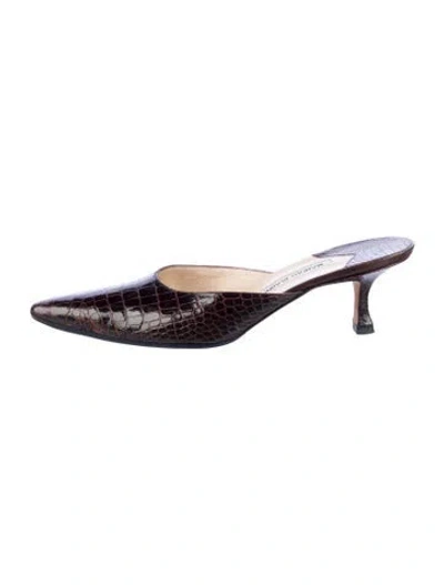 Pre-owned Manolo Blahnik Crocodile Animal Print Mules In Brown