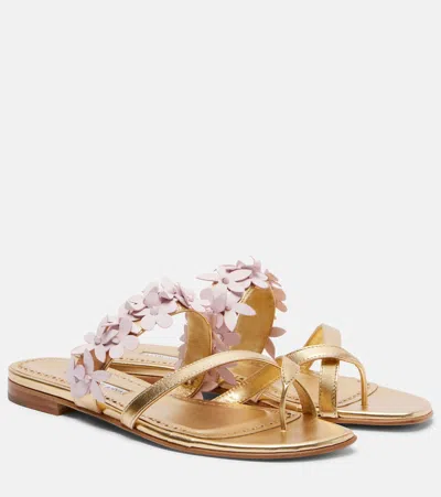 Manolo Blahnik Fiosabi Appliqué Leather Thong Sandals In Animal Print