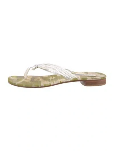 Pre-owned Manolo Blahnik Flip Flops In Green