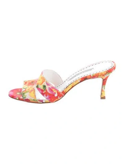 Pre-owned Manolo Blahnik Floral Print Slides In Pink