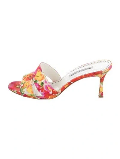 Pre-owned Manolo Blahnik Floral Print Slides In Pink