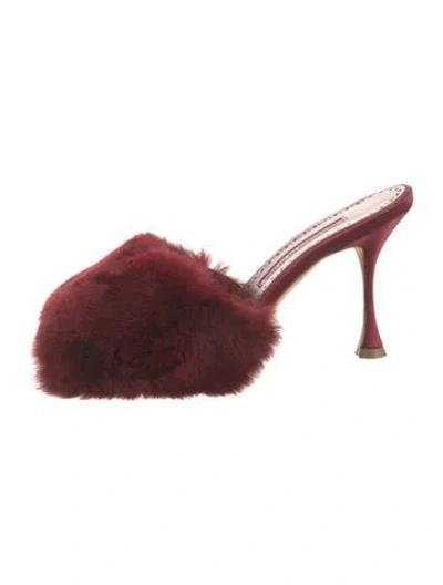 Pre-owned Manolo Blahnik Fur Mules In Burgundy