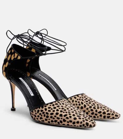 Manolo Blahnik Gambis 90 Calf Hair Animal-print Pumps In Black