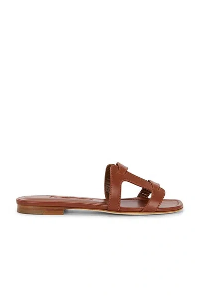 Manolo Blahnik Grellanu Leather Flat Slide Sandals In Brown