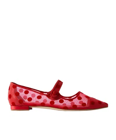 Manolo Blahnik Campari Grosgrain-trimmed Flocked Mesh Ballet Flats In Red