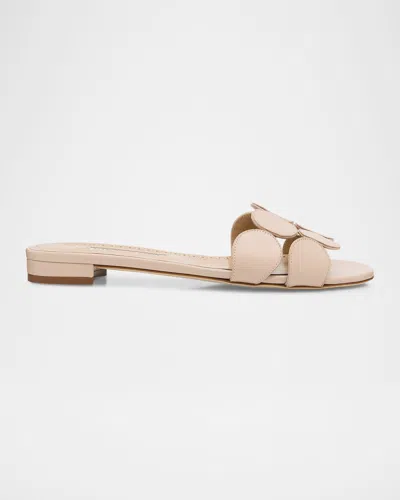Manolo Blahnik Haribal Leather Flat Slide Sandals In Neutral