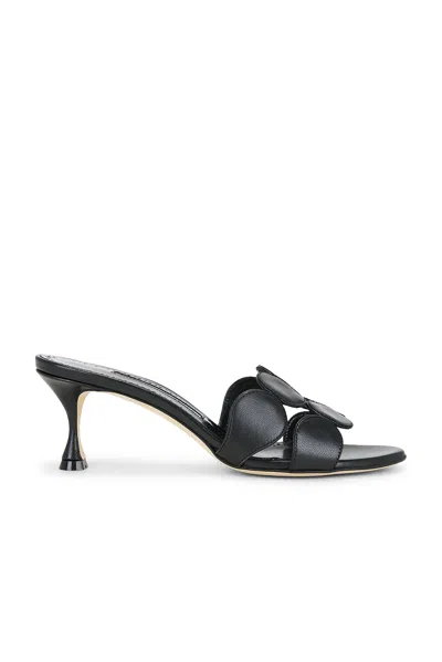 Manolo Blahnik Haribalmu 50 Sandal