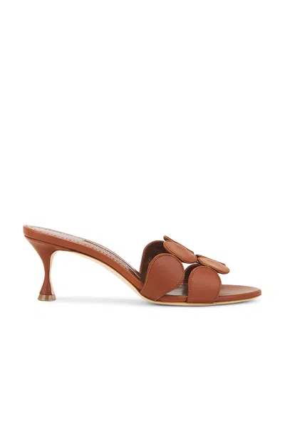 Manolo Blahnik Haribalmu 50 Sandal In Medium Brown