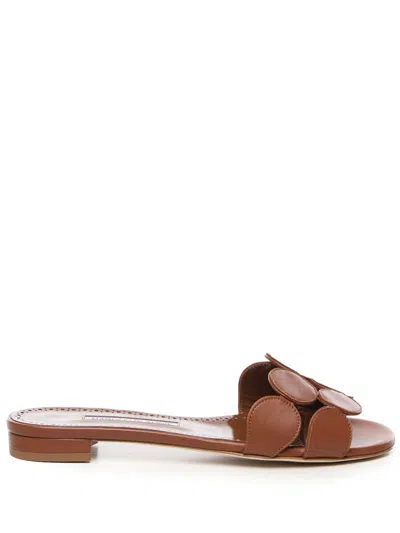 MANOLO BLAHNIK HARIBALMU SLIDES