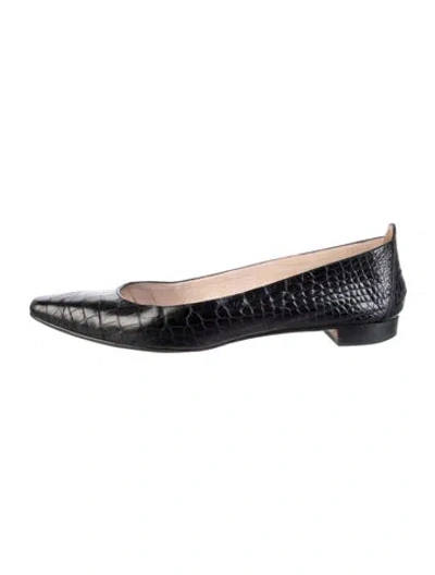 Pre-owned Manolo Blahnik Leather Animal Print Ballet Flats In Black