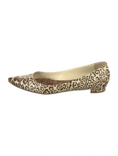 Pre-owned Manolo Blahnik Leather Animal Print Ballet Flats In Neutral