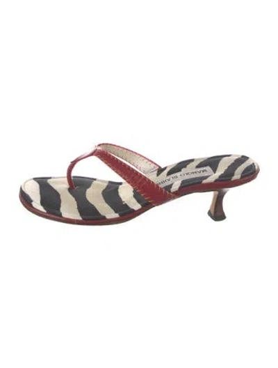 Pre-owned Manolo Blahnik Leather Animal Print Flip Flops In Black