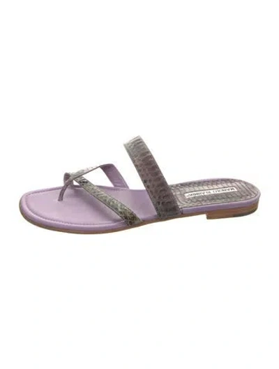 Pre-owned Manolo Blahnik Leather Animal Print Sandals In Purple