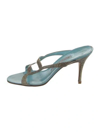 Pre-owned Manolo Blahnik Leather Animal Print Slides In Blue