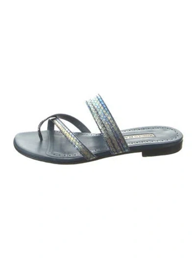 Pre-owned Manolo Blahnik Leather Animal Print Slides In Blue