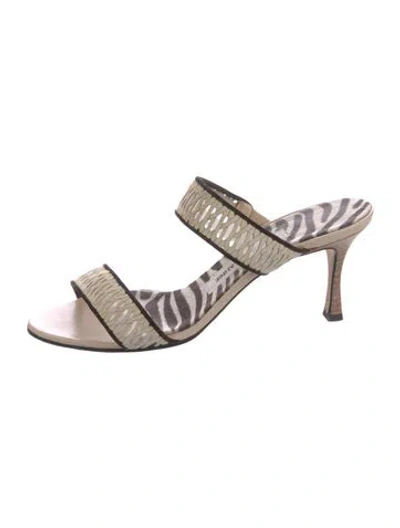Pre-owned Manolo Blahnik Leather Animal Print Slides In Neutral